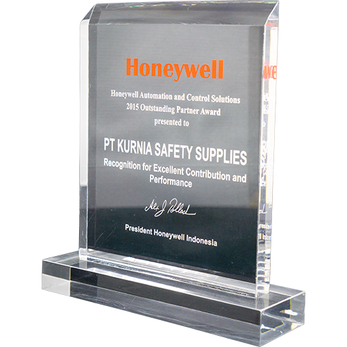 Honeywell Outstanding Partner Award 2015
